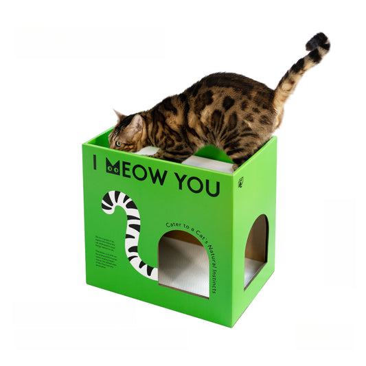 Cat Scratcher - Double Layer Kraft Paper Box