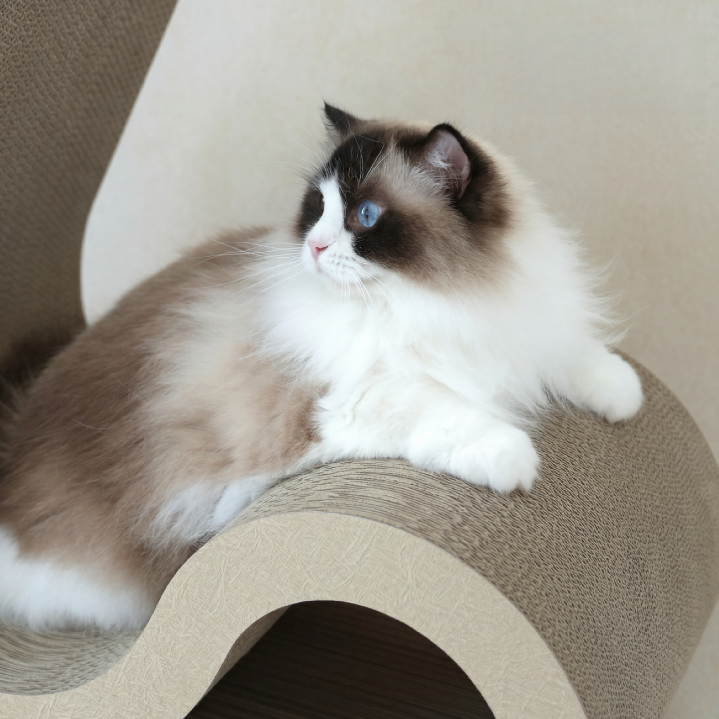 Cat Scratcher - Ribbon Lounge