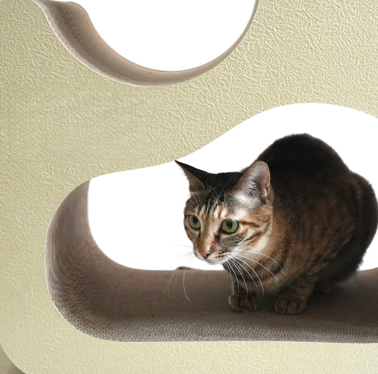 Cat Scratcher - Triangular Cloud Nest