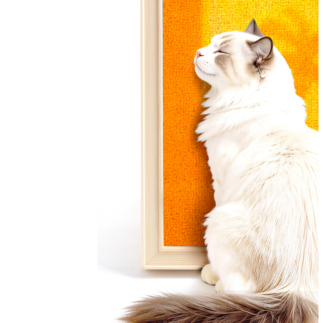 Art Oil Painting Frame Vertical Cat Scratcher - Orange Window