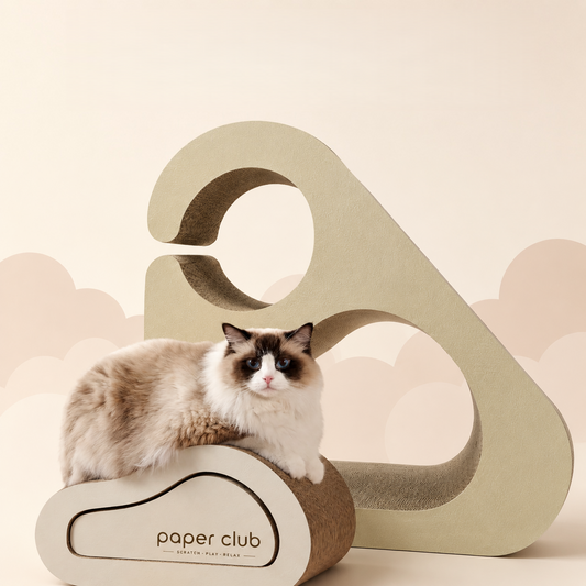 Cat Scratcher - Triangular Cloud Nest