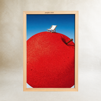 Replaceable Art Insert - Red Apple